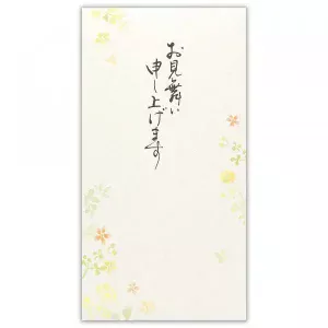 筆文字のし袋　御見舞　草花